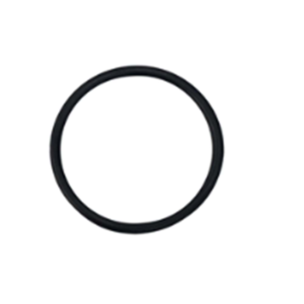 MANİFOLT ORİNGİ CG