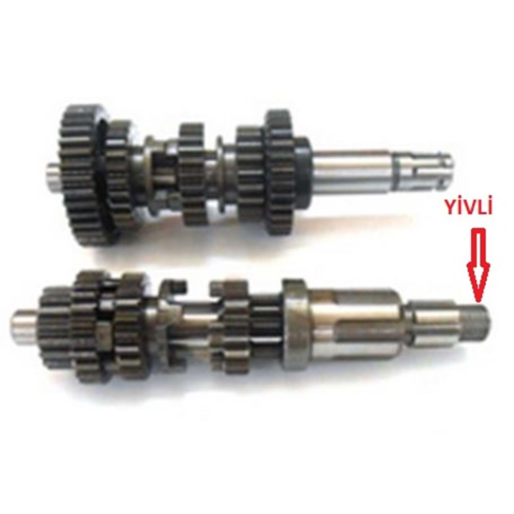 ŞANZUMAN DİŞLİ KOMPLE CG ZİNCİRLİ/UT ÇIKMA