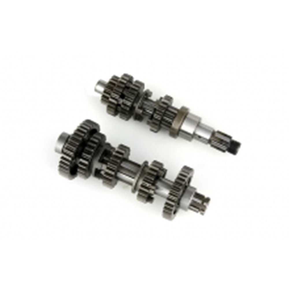 ŞANZUMAN DİŞLİ GRUBU REGAL