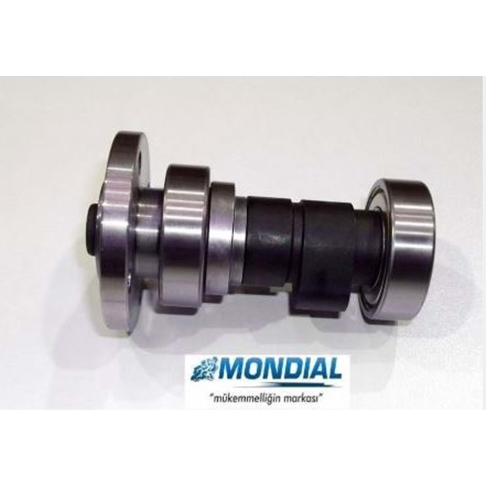 EKSANTİRİK KAM MİLİ 110 UCG MONDİAL ORJ