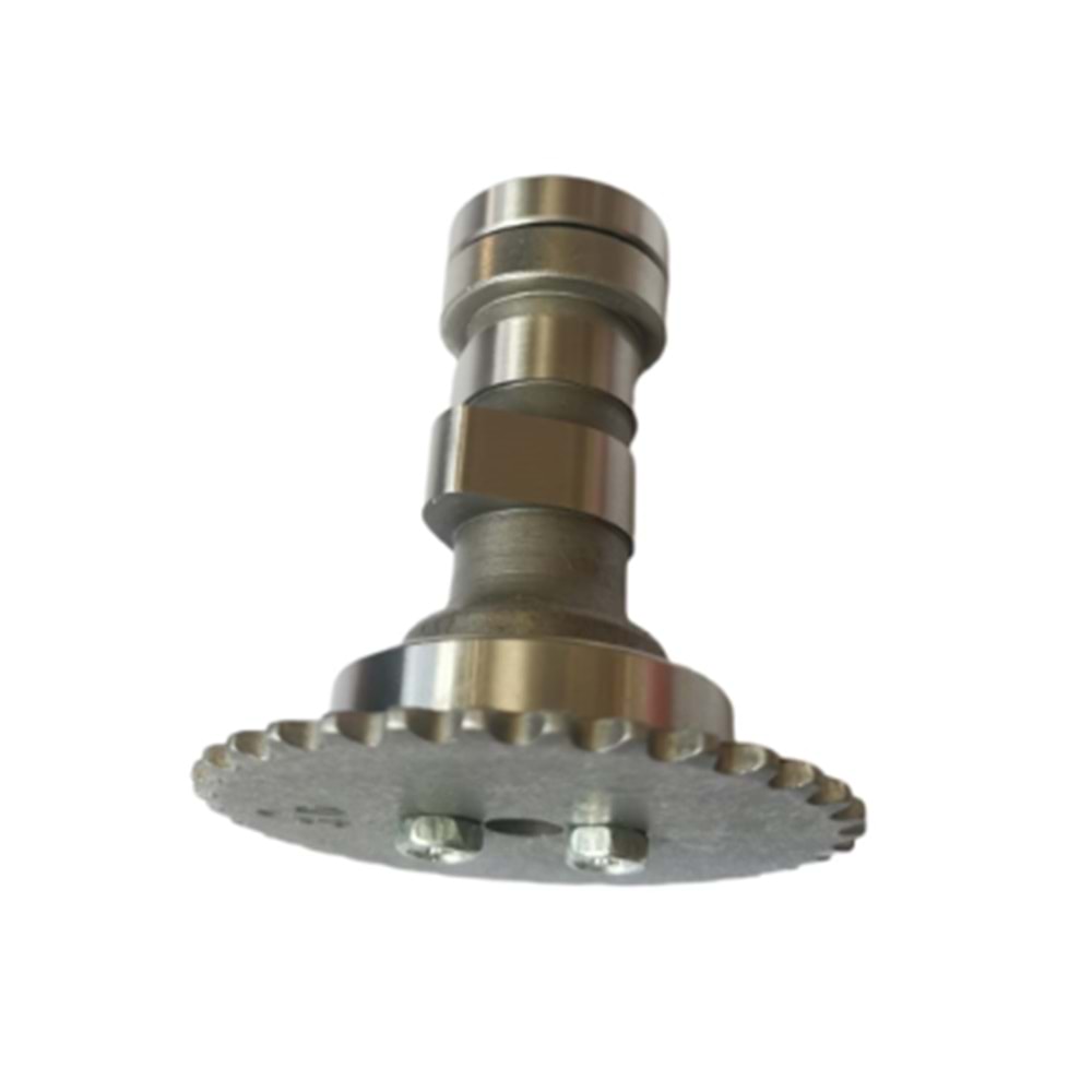 EKSANTİRİK KAM MİLİ CUB125/TERRA