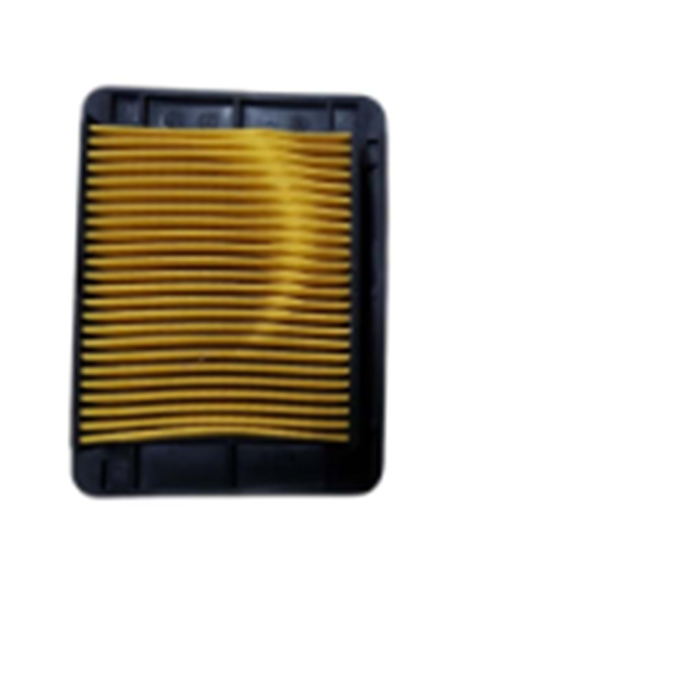 HAVA FİLİTRE ELEMANI MT25-R25-TVS