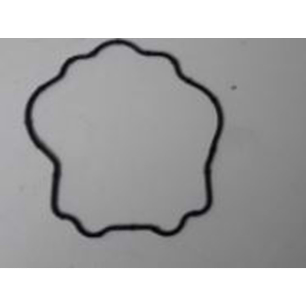 ÜST KÜLBÜTÖR ORİNGİ ATV CAZADOR