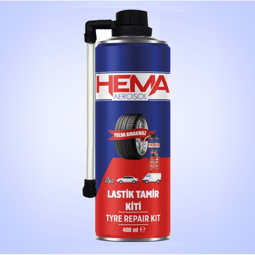 DUBLEX HAVALI PATLAK TAMİR SPREYİ 400ml HEMA