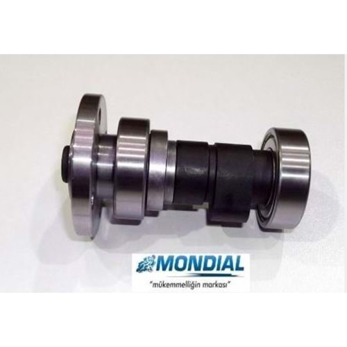 EKSANTİRİK KAM MİLİ 110 UCG MONDİAL ORJ